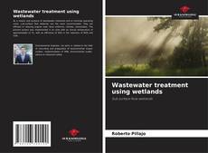 Buchcover von Wastewater treatment using wetlands
