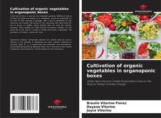 Cultivation of organic vegetables in organoponic boxes kitap kapağı