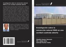 Couverture de Investigación sobre la convección natural MHD en una cavidad cuadrada abierta