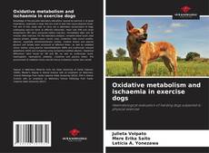 Couverture de Oxidative metabolism and ischaemia in exercise dogs