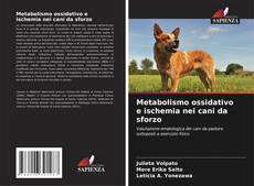 Metabolismo ossidativo e ischemia nei cani da sforzo kitap kapağı