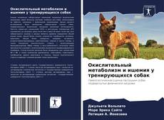 Bookcover of Окислительный метаболизм и ишемия у тренирующихся собак