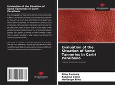 Buchcover von Evaluation of the Situation of Some Tanneries in Cariri Paraibano