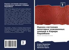 Bookcover of Оценка состояния некоторых кожевенных заводов в Карири Параибано