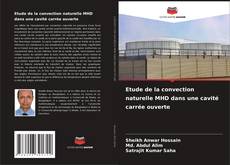 Capa do livro de Etude de la convection naturelle MHD dans une cavité carrée ouverte 