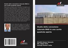 Обложка Studio della convezione naturale MHD in una cavità quadrata aperta