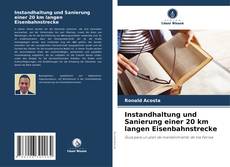 Instandhaltung und Sanierung einer 20 km langen Eisenbahnstrecke kitap kapağı