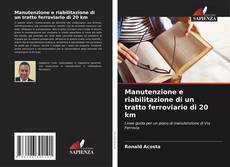 Capa do livro de Manutenzione e riabilitazione di un tratto ferroviario di 20 km 