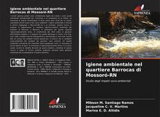 Copertina di Igiene ambientale nel quartiere Barrocas di Mossoró-RN