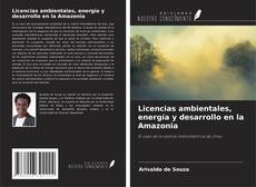 Bookcover of Licencias ambientales, energía y desarrollo en la Amazonia