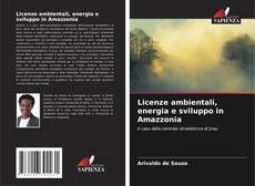Copertina di Licenze ambientali, energia e sviluppo in Amazzonia