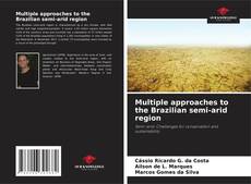 Multiple approaches to the Brazilian semi-arid region kitap kapağı
