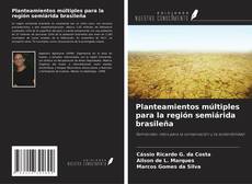 Buchcover von Planteamientos múltiples para la región semiárida brasileña