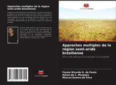 Bookcover of Approches multiples de la région semi-aride brésilienne