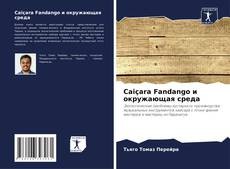 Caiçara Fandango и окружающая среда kitap kapağı