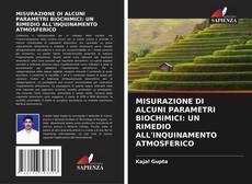 MISURAZIONE DI ALCUNI PARAMETRI BIOCHIMICI: UN RIMEDIO ALL'INQUINAMENTO ATMOSFERICO的封面