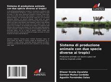 Buchcover von Sistema di produzione animale con due specie diverse ai tropici