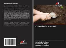 Couverture de Cromoblastomicosi