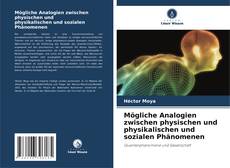 Buchcover von Mögliche Analogien zwischen physischen und physikalischen und sozialen Phänomenen
