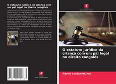 Copertina di O estatuto jurídico da criança com um pai legal no direito congolês