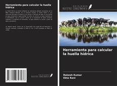Bookcover of Herramienta para calcular la huella hídrica