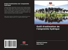 Bookcover of Outil d'estimation de l'empreinte hydrique