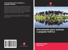 Copertina di Ferramenta para estimar a pegada hídrica