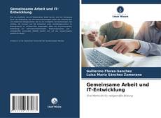 Copertina di Gemeinsame Arbeit und IT-Entwicklung