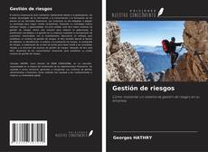 Bookcover of Gestión de riesgos