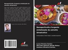 Portada del libro de Nanoparticelle d'argento sintetizzate da estratto idroalcolico