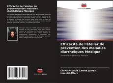 Bookcover of Efficacité de l'atelier de prévention des maladies diarrhéiques Mexique
