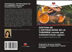 Bookcover of GESTION DE L'ANTHRACNOSE DE LA TURMERIE causée par Colletotrichum capsici