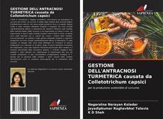 Capa do livro de GESTIONE DELL'ANTRACNOSI TURMETRICA causata da Colletotrichum capsici 