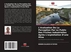 Buchcover von L'évaluation De La Perception Par Le Public Des Friches Industrielles Après L'exploitation D'une Mine