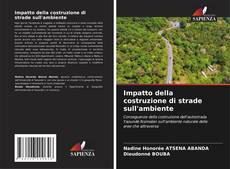 Impatto della costruzione di strade sull'ambiente kitap kapağı