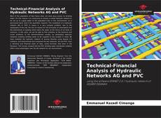 Technical-Financial Analysis of Hydraulic Networks AG and PVC kitap kapağı