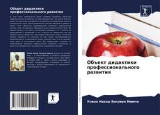Bookcover of Объект дидактики профессионального развития