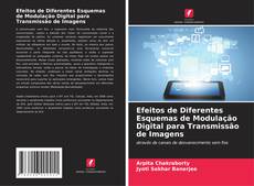 Bookcover of Efeitos de Diferentes Esquemas de Modulação Digital para Transmissão de Imagens