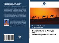 Buchcover von Soziokulturelle Analyse von Stammesgemeinschaften