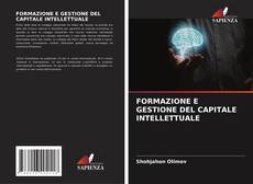 Buchcover von FORMAZIONE E GESTIONE DEL CAPITALE INTELLETTUALE