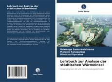 Lehrbuch zur Analyse der städtischen Wärmeinsel的封面