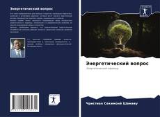 Buchcover von Энергетический вопрос