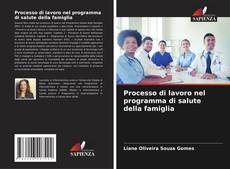 Bookcover of Processo di lavoro nel programma di salute della famiglia