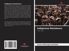 Indigenous Resistance kitap kapağı