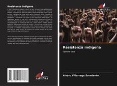 Capa do livro de Resistenza indigena 