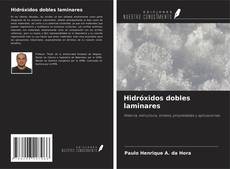 Buchcover von Hidróxidos dobles laminares