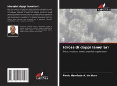 Bookcover of Idrossidi doppi lamellari