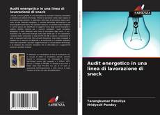 Bookcover of Audit energetico in una linea di lavorazione di snack
