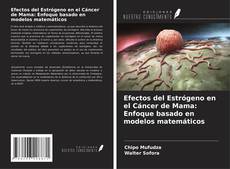Copertina di Efectos del Estrógeno en el Cáncer de Mama: Enfoque basado en modelos matemáticos