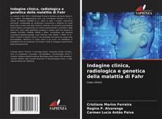 Bookcover of Indagine clinica, radiologica e genetica della malattia di Fahr